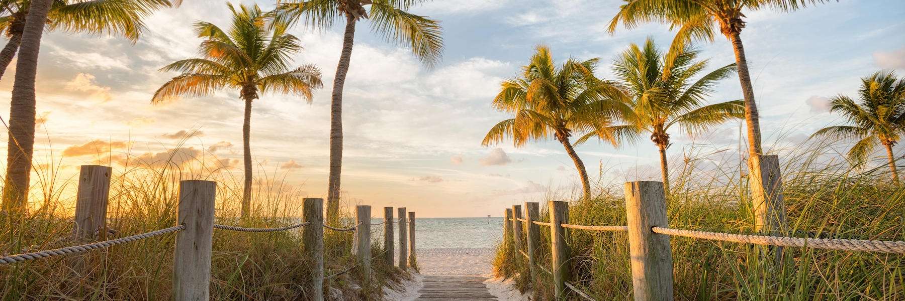 Bone Grafting and Sinus Lifts | Dentist